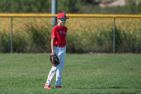 Redbirds Baseball